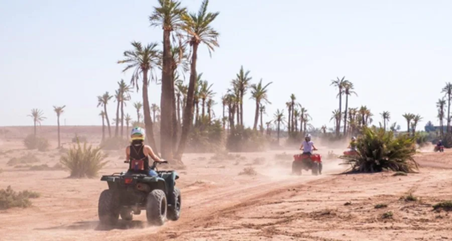 Quad dans la palmeraie de Marrakech