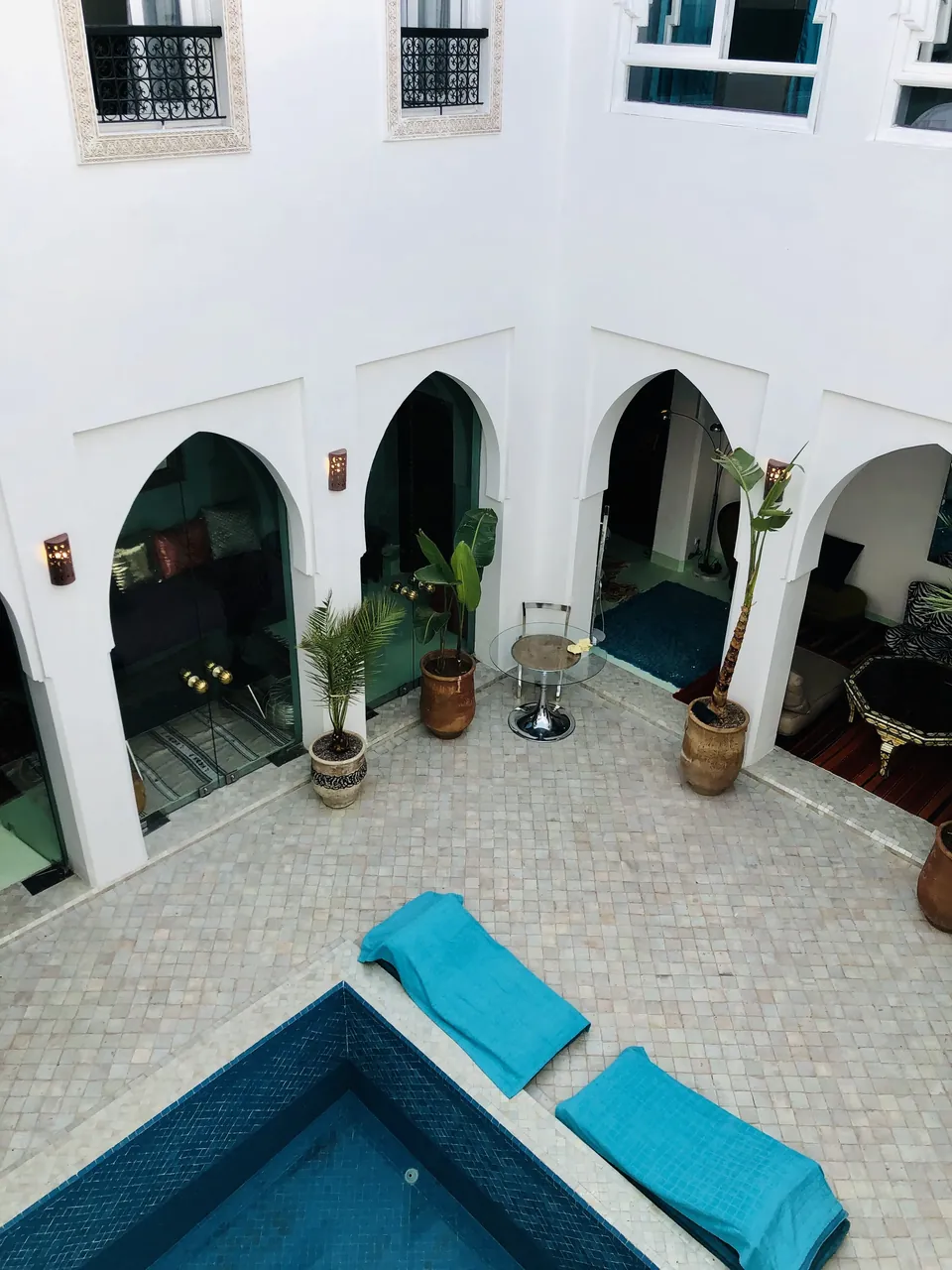 Patio plants and arches