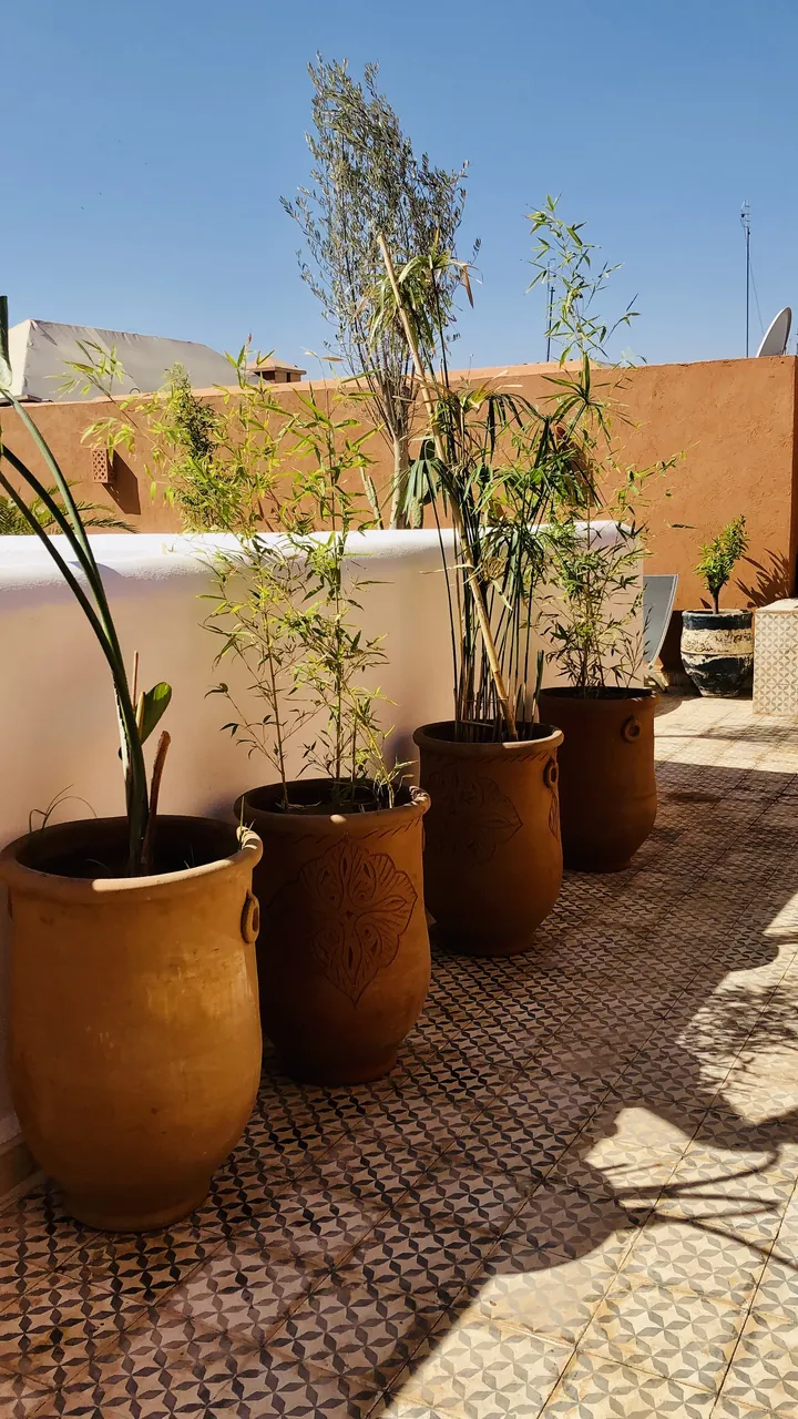Rooftop terrace perfect for group gatherings at Dar Maureen