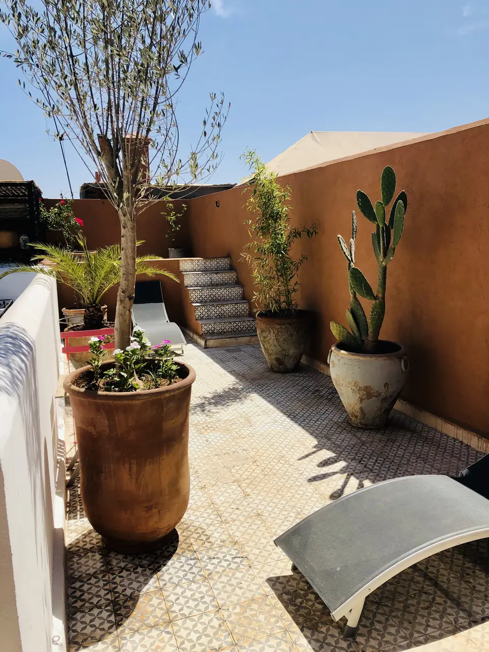 Terrace plants